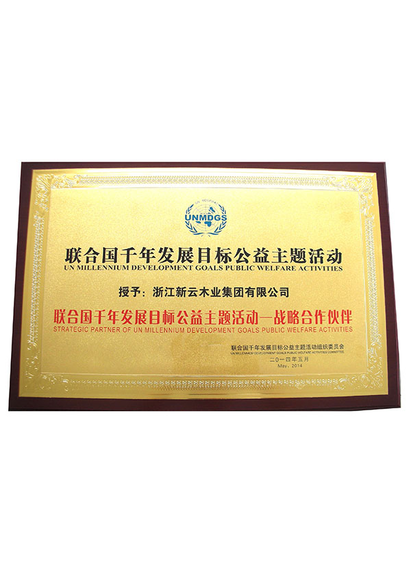 聯(lián)合國千年發(fā)展目標(biāo)公益主題活動(dòng)